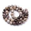 Natural Zebra Jasper Beads Strands G-S259-30-8mm-2