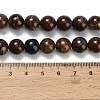 Natural Pietersite Beads Strands G-L642-B16-10mm-5