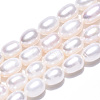 Natural Cultured Freshwater Pearl Beads Strands PEAR-N012-06Q-4