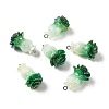AB Color Plated Opaque Resin Pendants RESI-G129-01-1