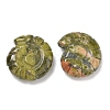 Natural Unakite Conch Display Decorations DJEW-D303-01G-1