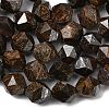 Natural Bronzite Beads Strands G-Z119-A30-03-5