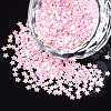 Shining Nail Art Glitter MRMJ-T017-04K-1