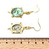 Brass Natural Paua Shell Dangle Earrings EJEW-M060-19A-G-5