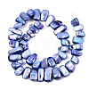 Natural Freshwater Shell Beads Strands SHEL-N026-123G-2