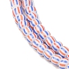 Handmade Lampwork Beads Strands BLOW-K001-01A-09-3