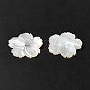 Natural White Shell Beads SHEL-M021-08B-3