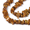 Natural Trochid Shell/Trochus Shell Beads Strands SHEL-S258-080-B03-3
