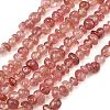 Natural Strawberry Quartz Beads Strands G-P622-B01-01-2