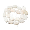 Natural Rainbow Moonstone Beads Strands G-G072-B02-02-3