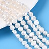 Natural Cultured Freshwater Pearl Beads Strands PEAR-T006-18C-1