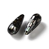 Natural Black Lip Shell Beads SSHEL-B002-10B-01-2