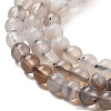 Natural Botswana Agate Beads Strands X-G-G143-A02-02-4