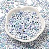 Baking Paint Glass Seed Beads X-SEED-F005-01A-09-2