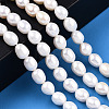 Natural Cultured Freshwater Pearl Beads Strands PEAR-N012-07K-6