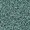 MIYUKI Delica Beads SEED-X0054-DB0416-3
