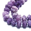 Natural Lepidolite/Purple Mica Stone Beads Strands G-K245-G02-04-3