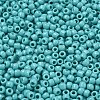 TOHO 6/0 Round Beads SEED-TR06-0055-3