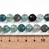 Natural Fluorite Beads Strands G-S345-10mm-31-5