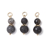 3Pcs 3 Styles Natural Lava Rock & Larvikite & Golden Sheen Obsidian Round Beaded Pendants PALLOY-JF04701-07-1