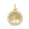 Brass Micro Pave Clear Cubic Zirconia Charms KK-G522-46G-1