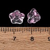 Baking Paint Transparent Glass Beads GLAA-T025-81C-06-3