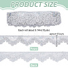 Polyester Lace Ribbon OCOR-WH0105-202B-2