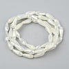 Electroplated Opaque Glass Beads Strands EGLA-L015-FR-B17-01-3