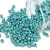 TOHO 6/0 Round Beads SEED-XTR06-PF0569-1