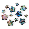12Pcs 2 Styles Natural Abalone Shell/Paua Shell Beads SHEL-TA0001-40-3