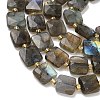 Natural Mixed Gemstone Beads Strands G-L642-L01-10mm-5