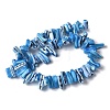 Dyed Natural Trochus Shell Beads Strands SSHEL-C013-09F-2