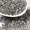 Transparent Glass Round Seed Beads SEED-B001-05A-12-1