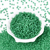 FGB Frosted Transparent Glass Seed Beads SEED-N013-04A-09-2