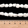 Natural Howlite Beads Strands G-C286-A20-5