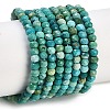 Natural Turquoise Dyed Beads Strands G-H070-A02-01-1