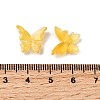Glass Beads GLAA-D303-06-3