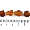Raw Rough Natural Amber Beads Strands G-B125-C01-01-5
