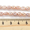 Natural Cultured Freshwater Pearl Beads Strands PEAR-P062-24C-5