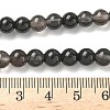 Natural Ice Obsidian Beads Strands X-G-P590-A03-6mm-02-3