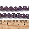 Natural Amethyst Beads Strands G-M445-8MM-01D-6