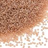 MIYUKI Round Rocailles Beads X-SEED-G009-RR2371-1