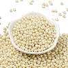 6/0 Glass Seed Beads X1-SEED-L011-08A-16-2