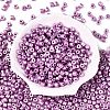 Baking Paint Pearlized Glass Seed Beads SEED-T008-03L-2