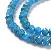 Natural Apatite Beads Strands G-K312-20B-3