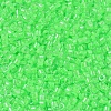 MIYUKI Delica Beads SEED-MY11-DB2040-2