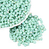 FGB Opaque Colours Glass Seed Beads SEED-Q040-07A-A05-1