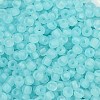 6/0 Luminous Glass Seed Beads SEED-NH0001-01F-3