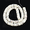 Natural Trochus Shell Beads Strands SSHEL-N034-163A-2