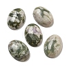 Natural Peace Jade Cabochons G-C115-01A-41-1